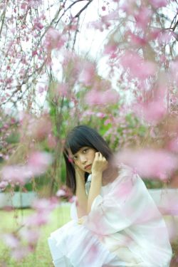 《爱唯侦察发布器》